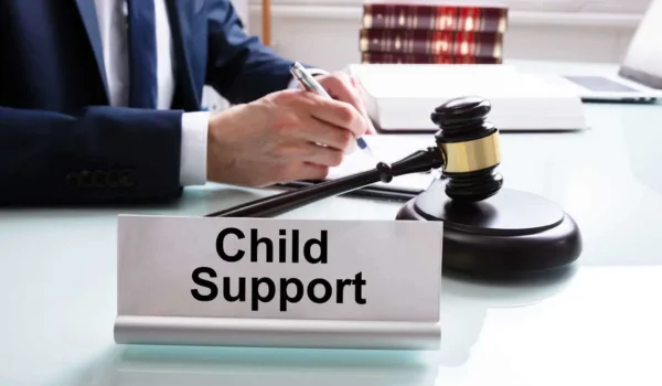 New Child Support Laws 2025 for Fathers: What Every Dad and Family Law Professional Needs to Know